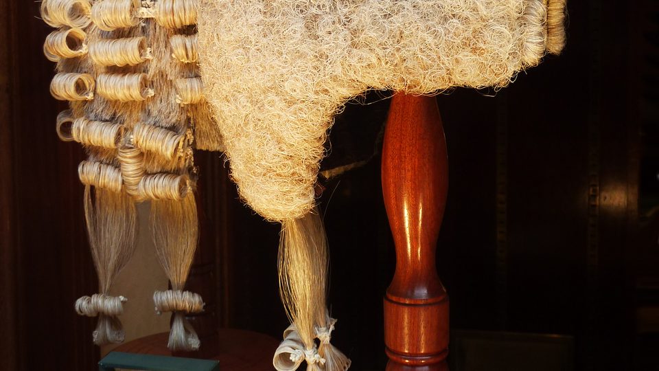 A barrister's horsehair wig on a wooden stand